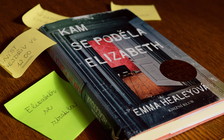 Kam se poděla Elizabeth (recenze)