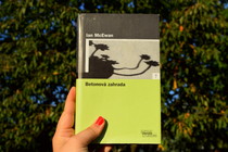 Betonová zahrada (recenze)